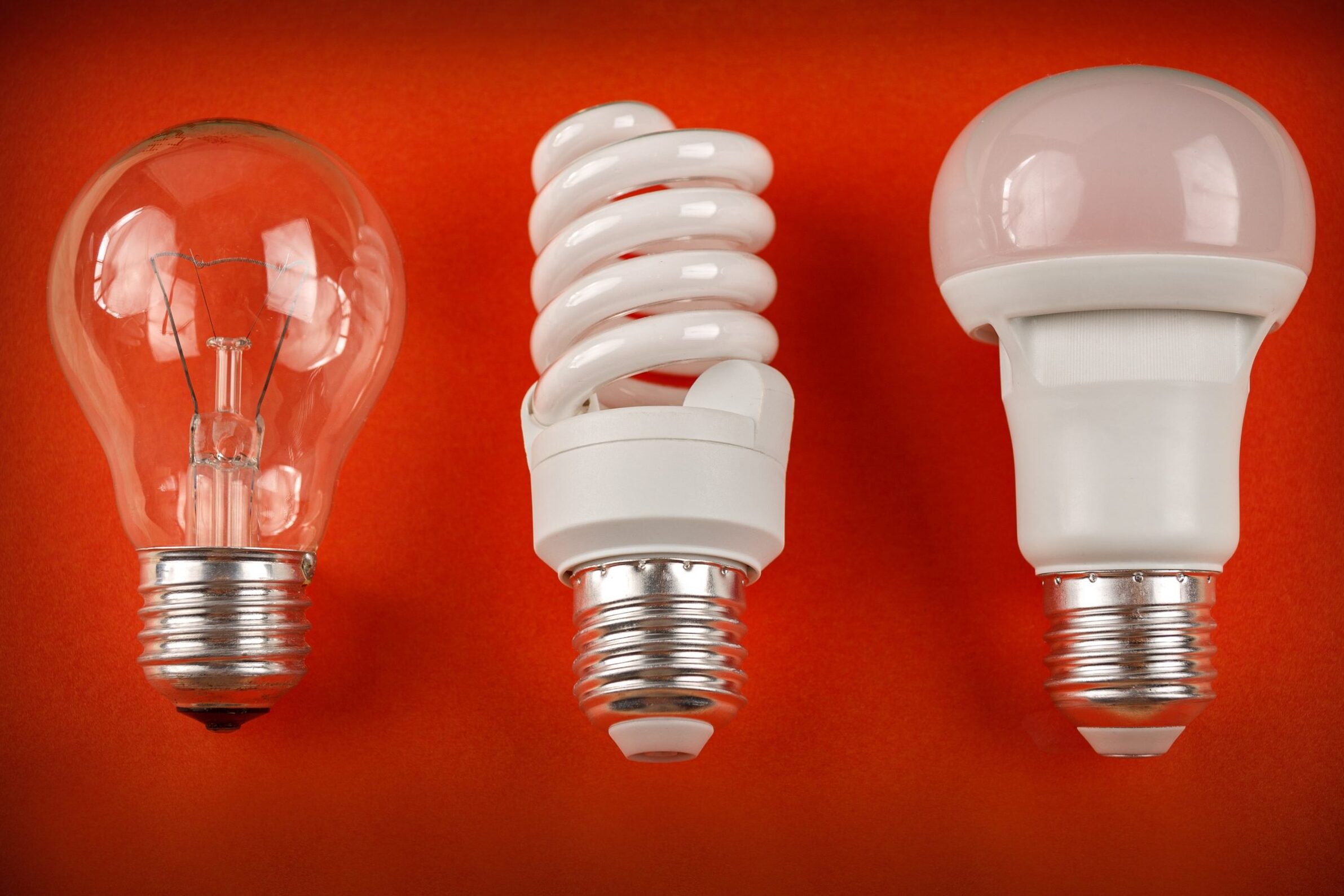 Do you know what are the main types of bulbs you need? Discover the essential information from here
